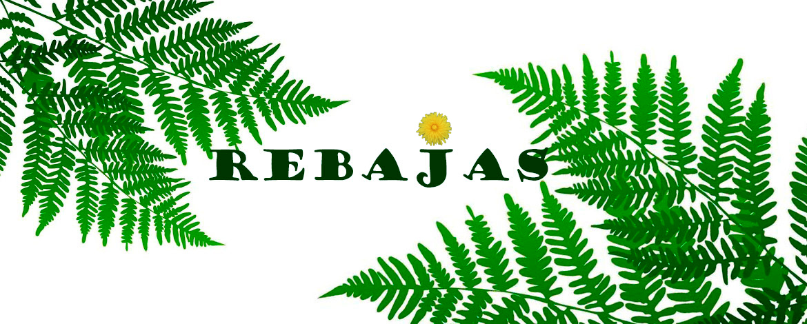 Rebajas pv23 aa