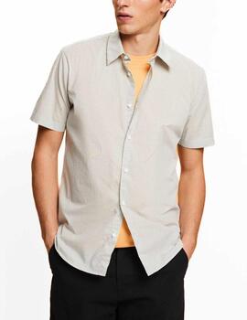 Camisa Esprit slim verde