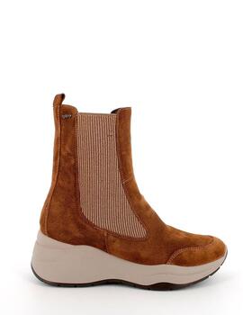 Botines Igi&Co ante camel