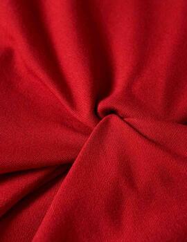 Top Lion of Porches nudo cereza